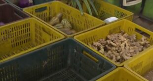 Alerta por escasez de productos de aseo y cocina en Medellín y Antioquia